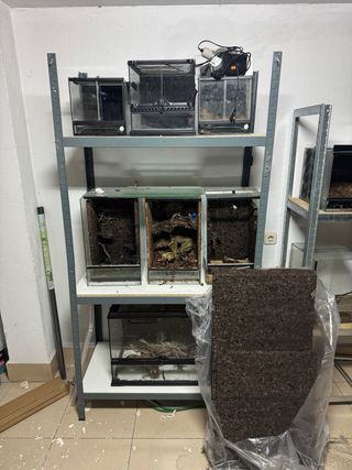 Lote terrarios varios tamaños