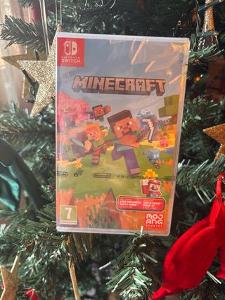 Minecraft per Nintendo Switch