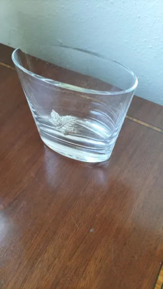 Vaso con hoja de plata