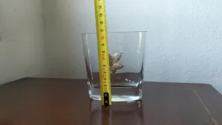 Vaso con hoja de plata