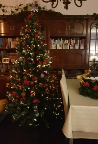 Árbol de Navidad con Luces de Fibra Óptica