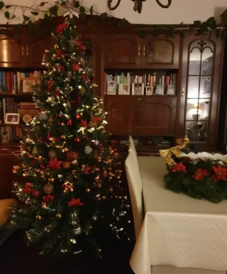 Árbol de Navidad con Luces de Fibra Óptica