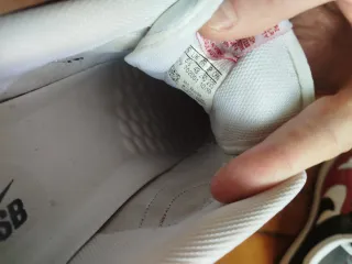 Nike SB Dunk Low Pro