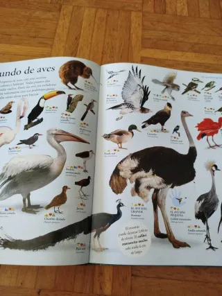 Lote de libros de animales. O por separado.