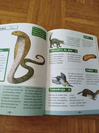 Lote de libros de animales. O por separado.