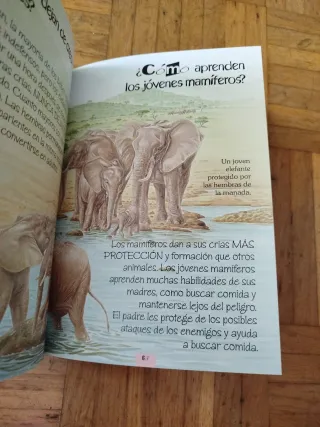Lote de libros de animales. O por separado.