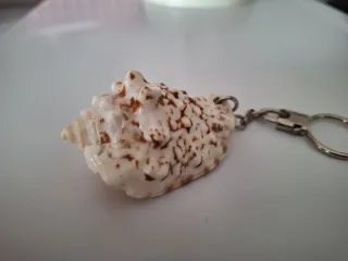 Llavero concha marina