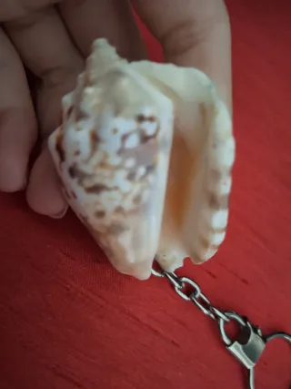 Llavero concha marina