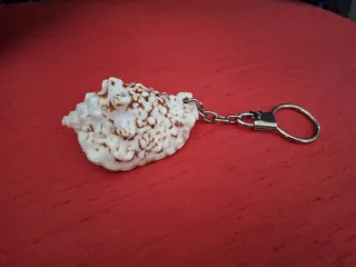 Llavero concha marina