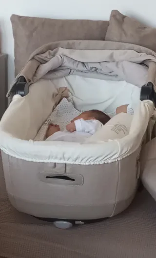 Carrito Inglesina Aptica 2023 Completo