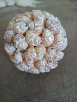 Sfera decorativa conchiglie esotiche