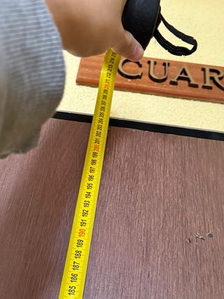 Puerta blindada antiokupa 205x84cm