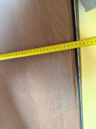 Puerta blindada antiokupa 205x84cm