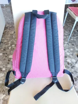 Mochila Eastpak Rosa