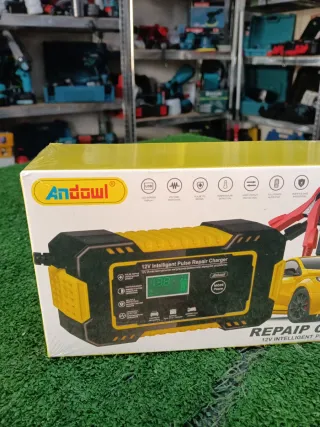 Caricabatterie Auto 12V Andowl Q-DP9921