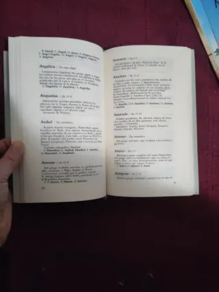 El gran libro de los nombres