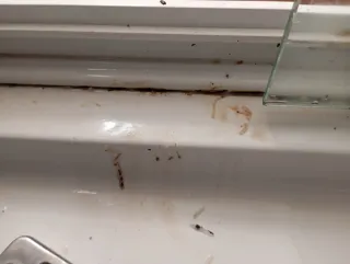 Servicio de Limpieza