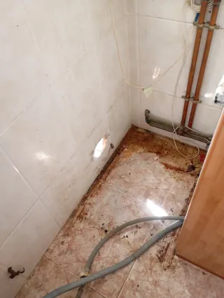 Servicio de Limpieza