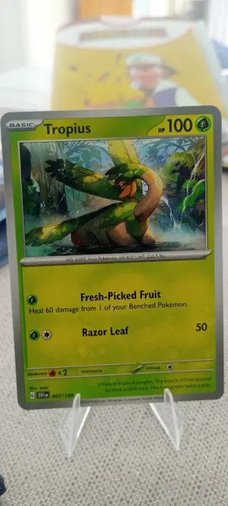 Sobre abierto 9 cartas Pokémon japonesas