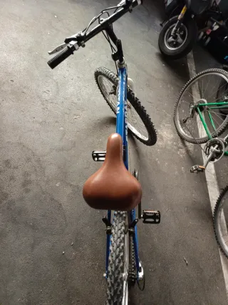 Bicicleta verde y azul para adulto