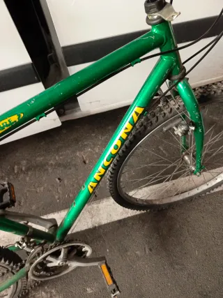 Bicicleta verde y azul para adulto