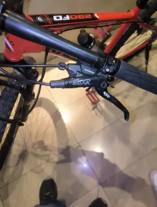 Bicicleta Racer 290FD 29 Talla M