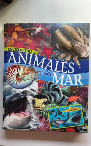 Animales del mar (Spanish Edition)