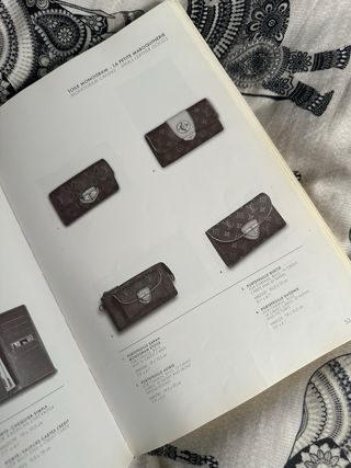 Libro louis vuitton
