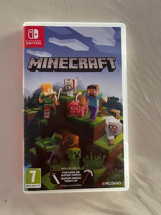 Minecraft per Nintendo Switch