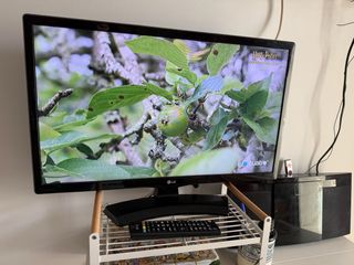 Televisor LG Negro 24 pulgadas