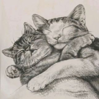 Cuscino arredo con stampa di gatti, nuovo, vintage