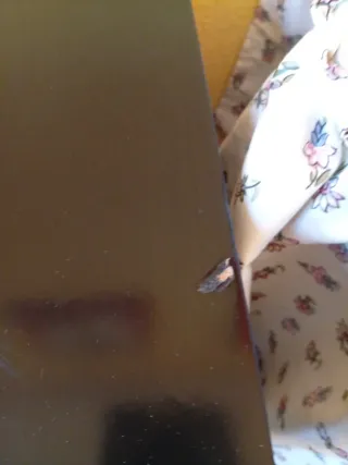 Conjunto de dormitorio