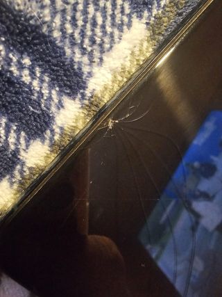 iPhone 11 Pro Max 256GB Verde/Grigio Siderale