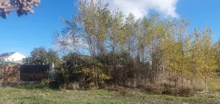 Venta de 33 parcelas urbanas para adosados