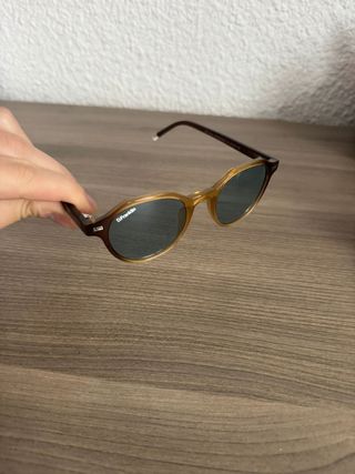 Gafas de sol Dfranklin azules y marrones