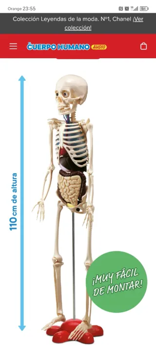 Colección del cuerpo humano de nacional geografic.