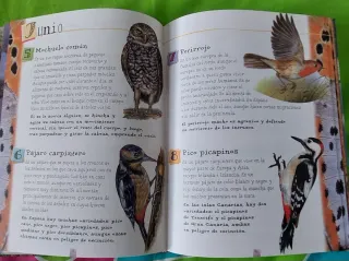 Lee cada día 365 historias de animales