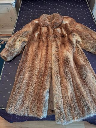 Abrigo de zorro australiano