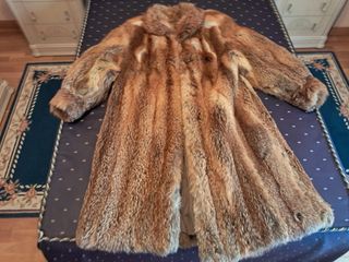 Abrigo de zorro australiano