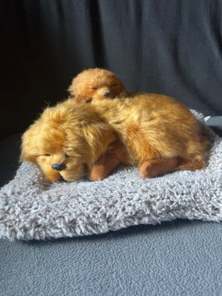 Peluche Perro