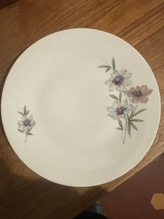 Servizio Piatti Porcellana per 12 persone