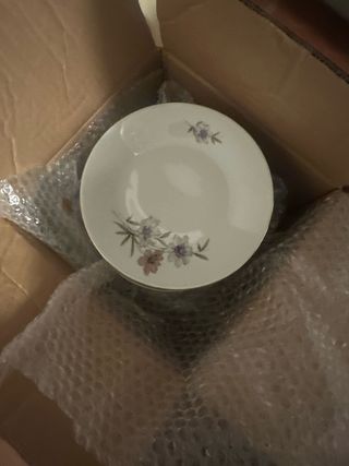 Servizio Piatti Porcellana per 12 persone