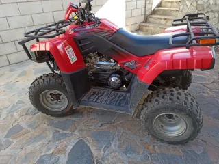 Quad/ATV Masai A300