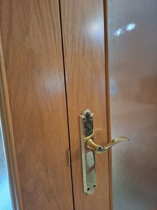 Puerta doble roble con cristal translúcido