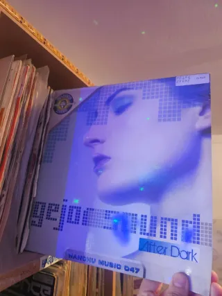 Lote de 14 vinilos poky