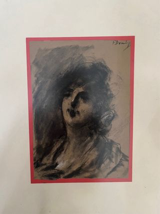 dibujo de Francisco Domingo y Marqués