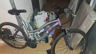 Bicicleta de montaña plateada