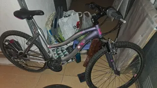 Bicicleta de montaña plateada