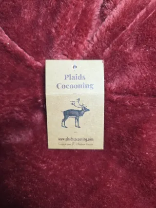 Coperta con Cappuccio Morbida Sherpa Fleece