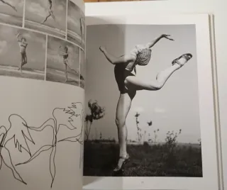 Boucher photo graphiste